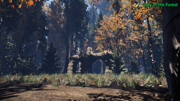 Duty in the Forest screenshot 7