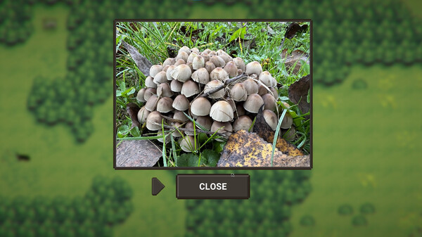 A Walk With My Dog screenshot 10