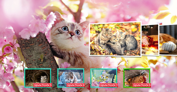 Cat's Life Jigsaw Puzzles screenshot 1