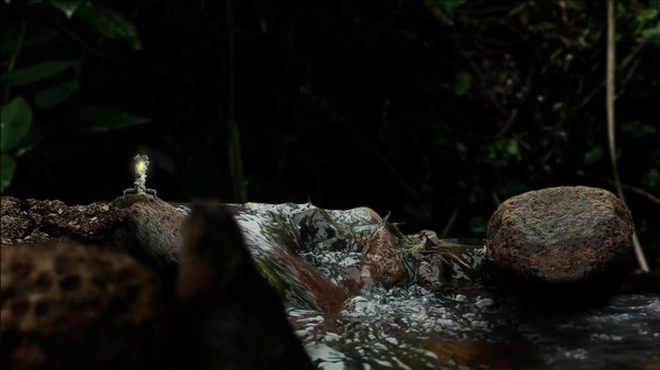 Seedlings screenshot 3