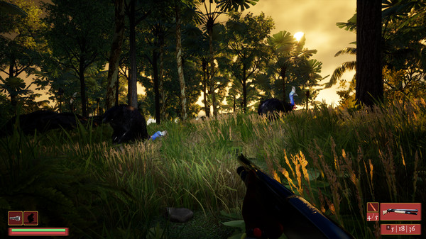 Straya screenshot 5