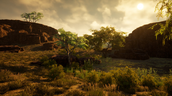 Straya screenshot 11