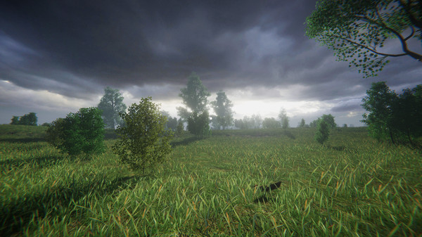 СИМУЛЯТОР ОДИНОЧЕСТВА В РУССКОЙ ДЕРЕВНЕ screenshot 6