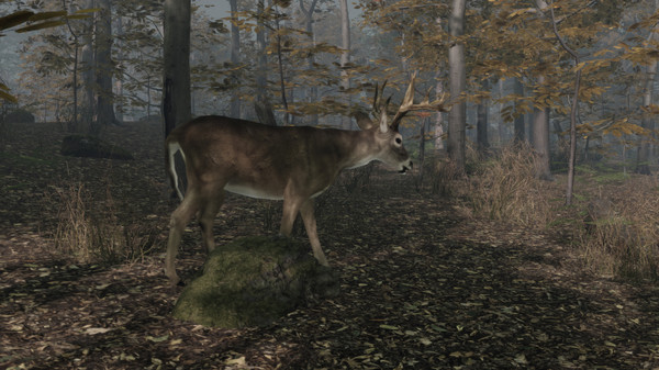 Pro Deer Hunting 2 screenshot 1