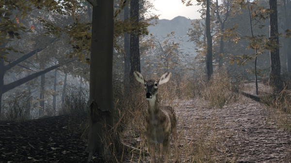 Pro Deer Hunting 2 screenshot 8