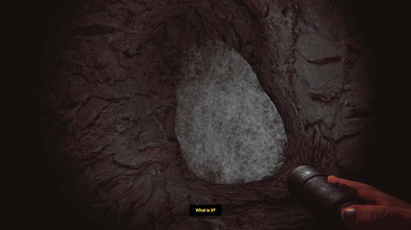 Depths Of Horror: Mushroom Day screenshot 3