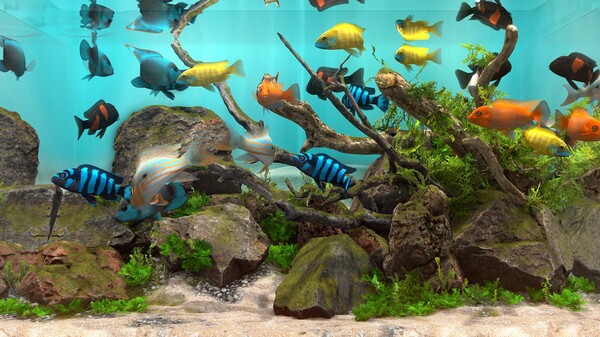 Behind Glass: Aquarium Simulator screenshot 1