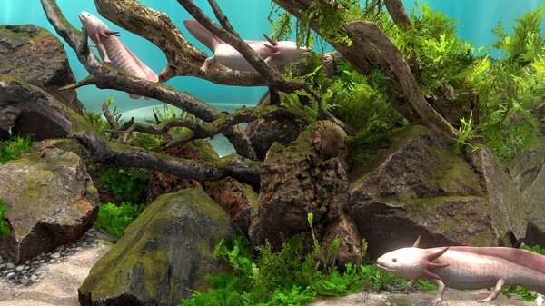 Behind Glass: Aquarium Simulator screenshot 4
