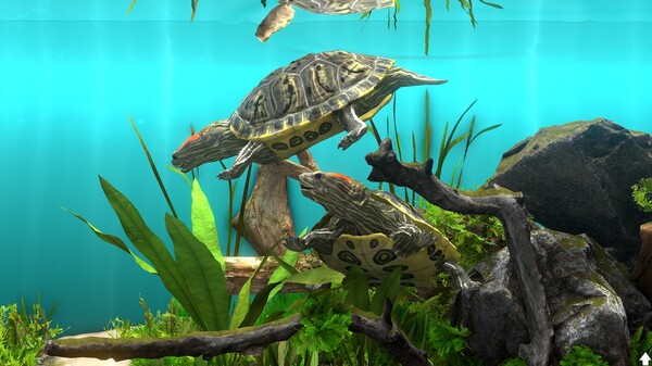 Behind Glass: Aquarium Simulator screenshot 7