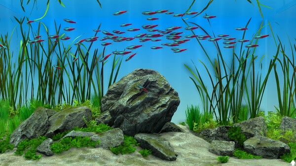Behind Glass: Aquarium Simulator screenshot 9
