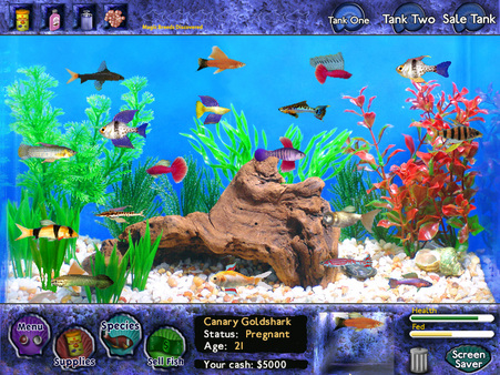 Fish Tycoon screenshot 4