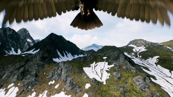 FREEDOM: Hunt Kill Fly screenshot 5