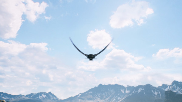FREEDOM: Hunt Kill Fly screenshot 4
