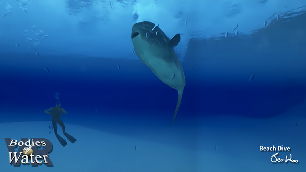 Bodies of Water VR screenshot 3