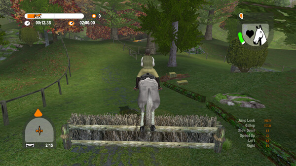 Lucinda Green's Equestrian Challenge screenshot 9