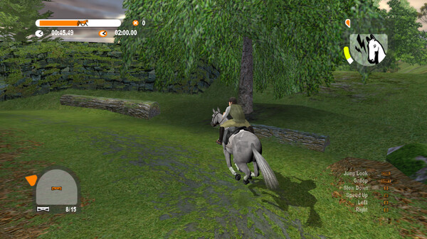 Lucinda Green's Equestrian Challenge screenshot 11