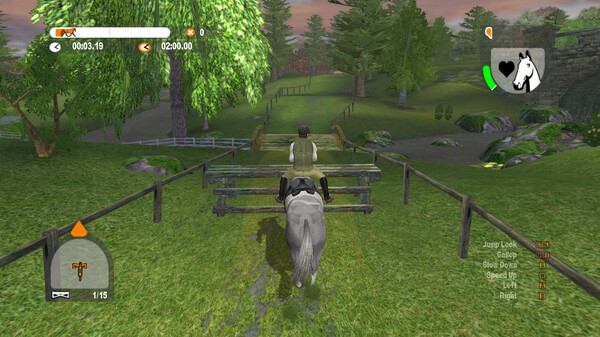 Lucinda Green's Equestrian Challenge screenshot 8