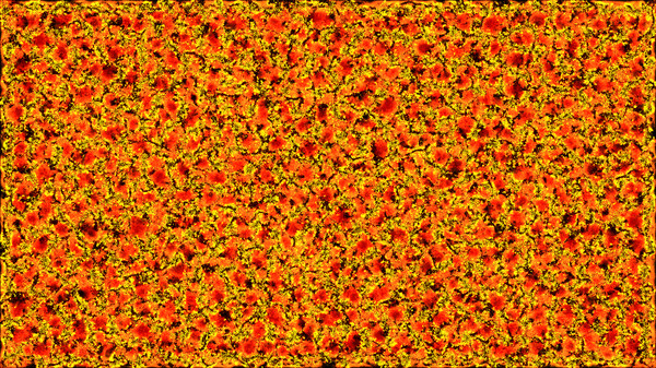 PHYSARUM: Slime Mold Simulator screenshot 11