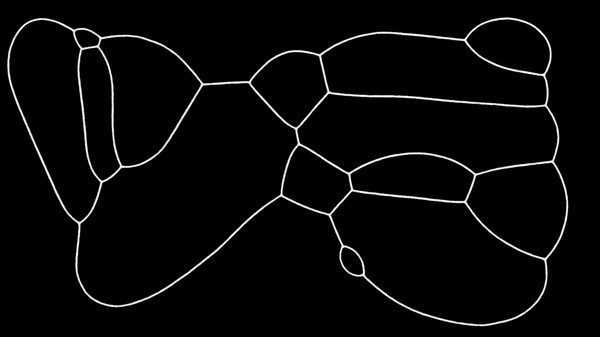 PHYSARUM: Slime Mold Simulator screenshot 7
