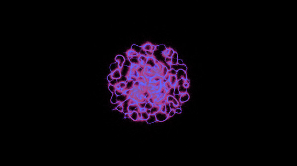 PHYSARUM: Slime Mold Simulator screenshot 6