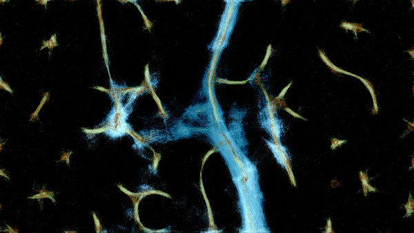 PHYSARUM: Slime Mold Simulator screenshot 5