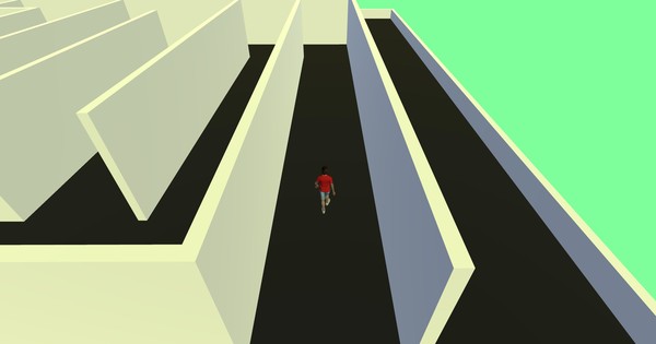 Maze Mania: The Ultimate 3D Maze Game screenshot 1