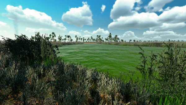 African Safari screenshot 4