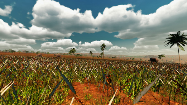 African Safari screenshot 5
