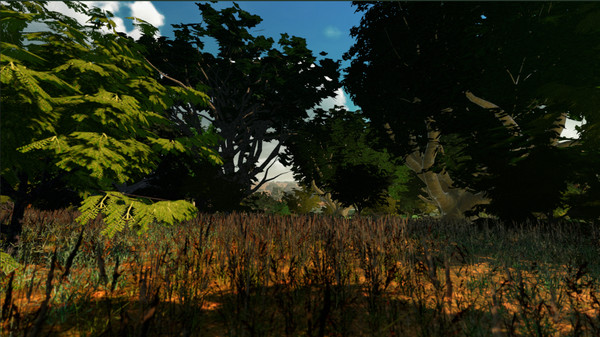 African Safari screenshot 8