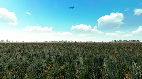 African Safari screenshot 7