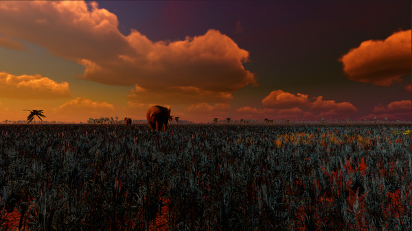 African Safari screenshot 12