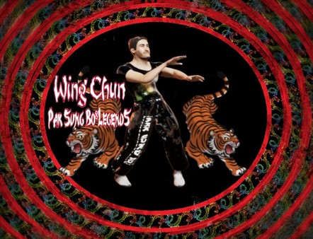 Pak Sung Bo Wing Chun screenshot 3
