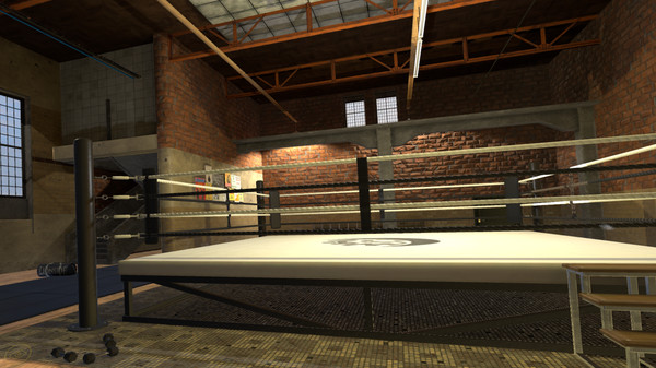 Era of Combat: Boxing screenshot 6