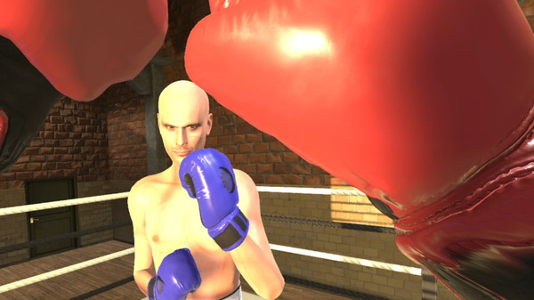 Era of Combat: Boxing screenshot 4
