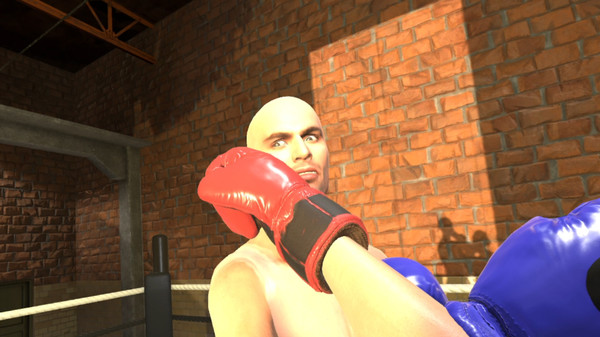 Era of Combat: Boxing screenshot 10