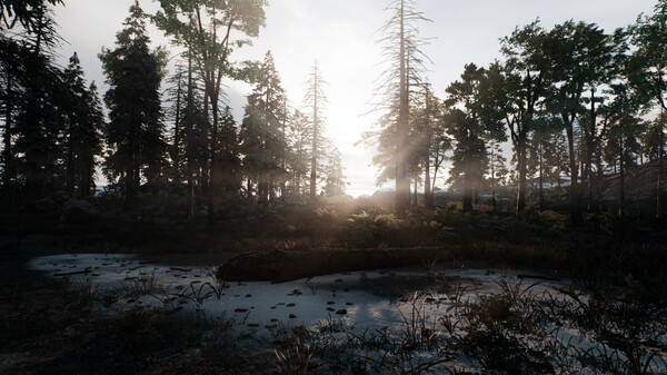 Skye: The Misty Isle screenshot 7
