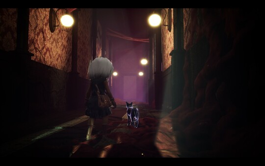 LIGHT: Black Cat & Amnesia Girl screenshot 2