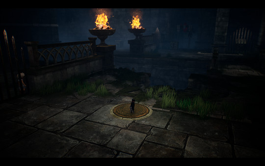 LIGHT: Black Cat & Amnesia Girl screenshot 10