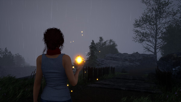 Fira screenshot 1