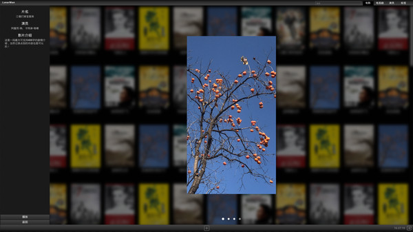 LunarManVideoLibrary~月球人影库 screenshot 3