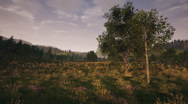 RFVR screenshot 11