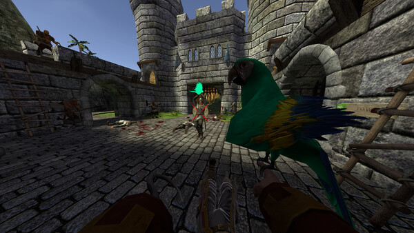 Pirates, Vikings, and Knights II screenshot 10