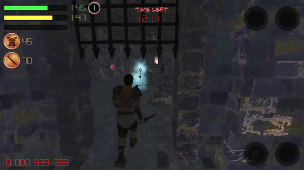 Dungeon Avenger screenshot 1