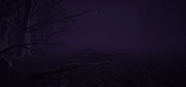 Solo Path screenshot 3