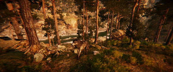 Animal Simulator screenshot 12