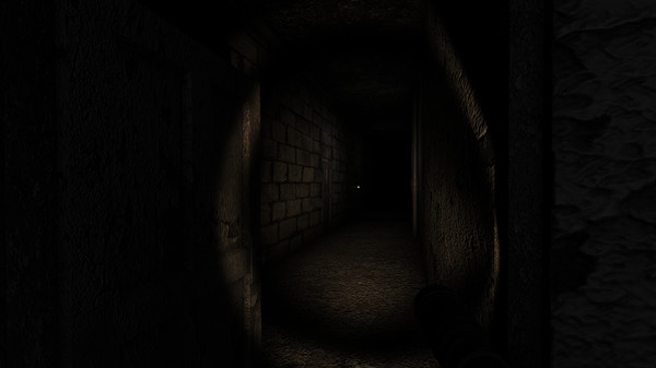 Steps From Above screenshot 11