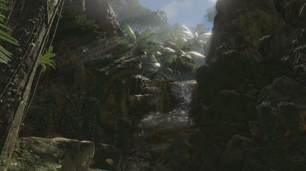 Green Hell VR screenshot 9