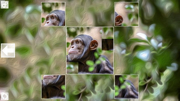 Puzzle Art: Primates screenshot 0
