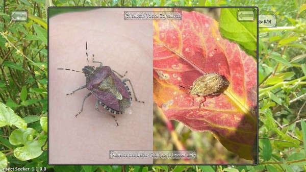 Insect Seeker screenshot 6