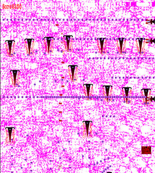 Normal SHMUP screenshot 1